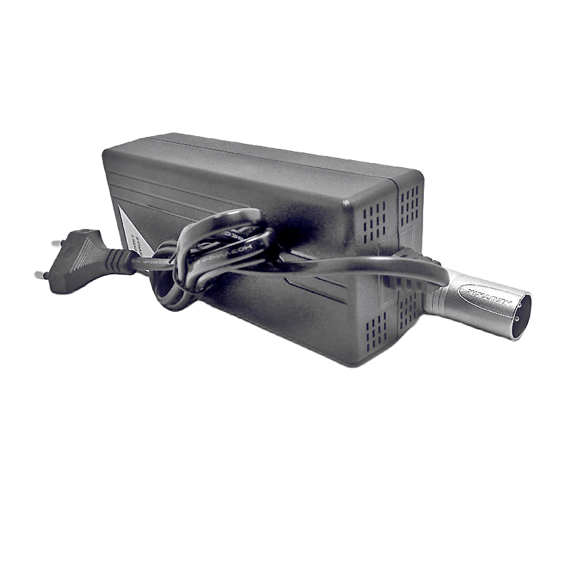 Cargador de batería de 150W Cargador de 24 V 5A para AGM VRLA Gel Scooter Electric Robot Bicicleta eléctrica Batinas ácidas Packs