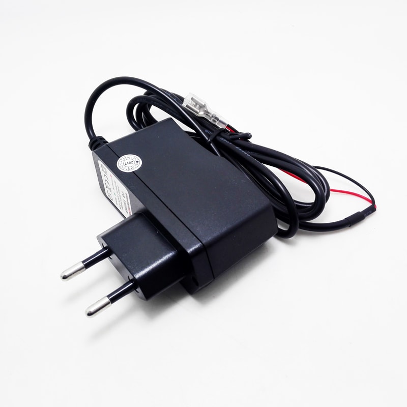 AU EU UK US 15W 10.8V 10.95V 1A Cargador de batería LIFEPO4 para 3S 9V 9.6V Batería de bancos de energía del scooter eléctrico