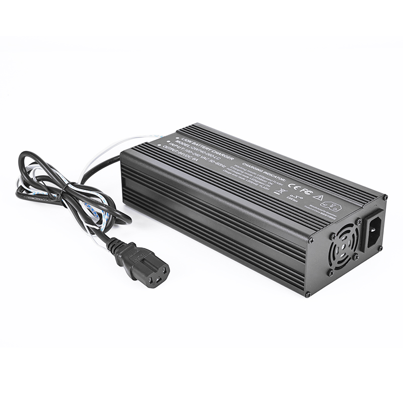 CANBUS CANBUS 600W 18V 18.25V 25A 30A LIFEPO4 CARGADOR PARA 5S 15V 16V Smart Robot Battery Battery Battery Battery