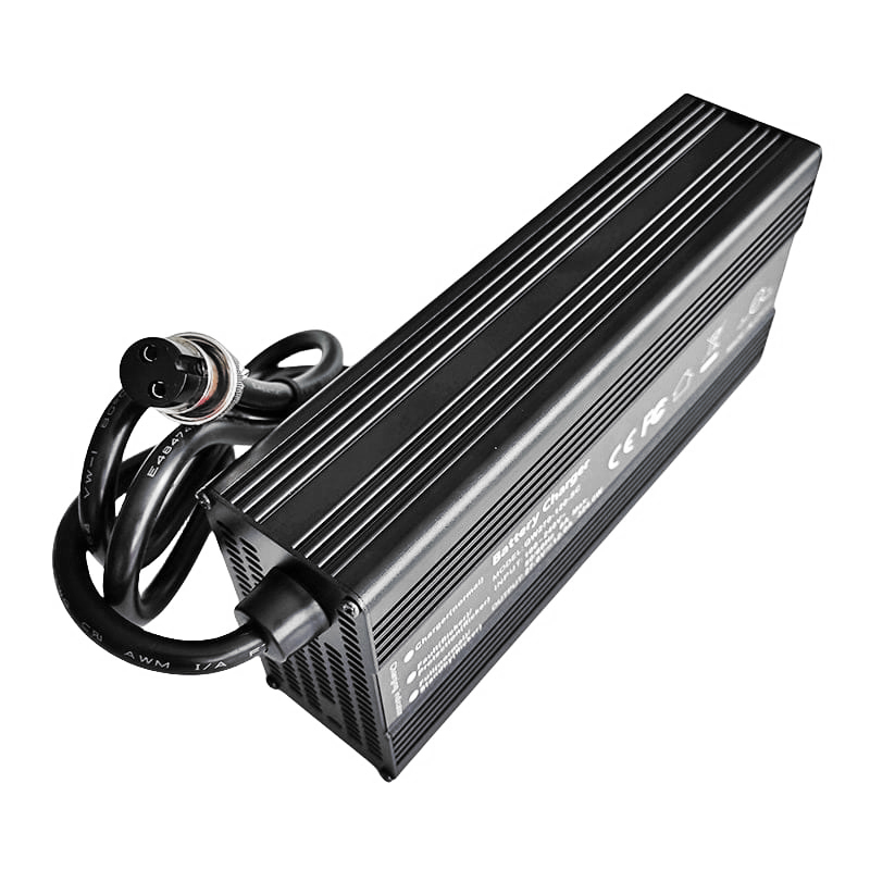 600W LiFePO4 Cargador 18V 18.25V 25A 30A PATERÍAS DE BATERÍAS PARA 5S 15V 16V para la batería eléctrica Motorcos eléctricos Batería de triciclos