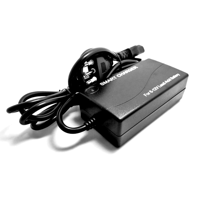 Cargador de batería de 60W 12V-24V 2A Cargador para AGM VRLA Gel Batterías ácidas Luces de calles solares LED LED PACH