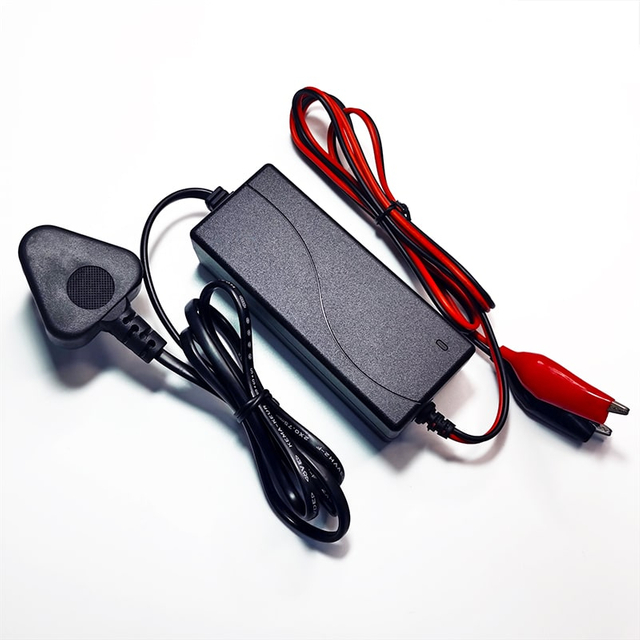 Cargador de batería de 30W, cargador de 12V 2a para baterías de GEL AGM VRLA de plomo ácido, farolas solares, luces Led de emergencia, paquetes de baterías