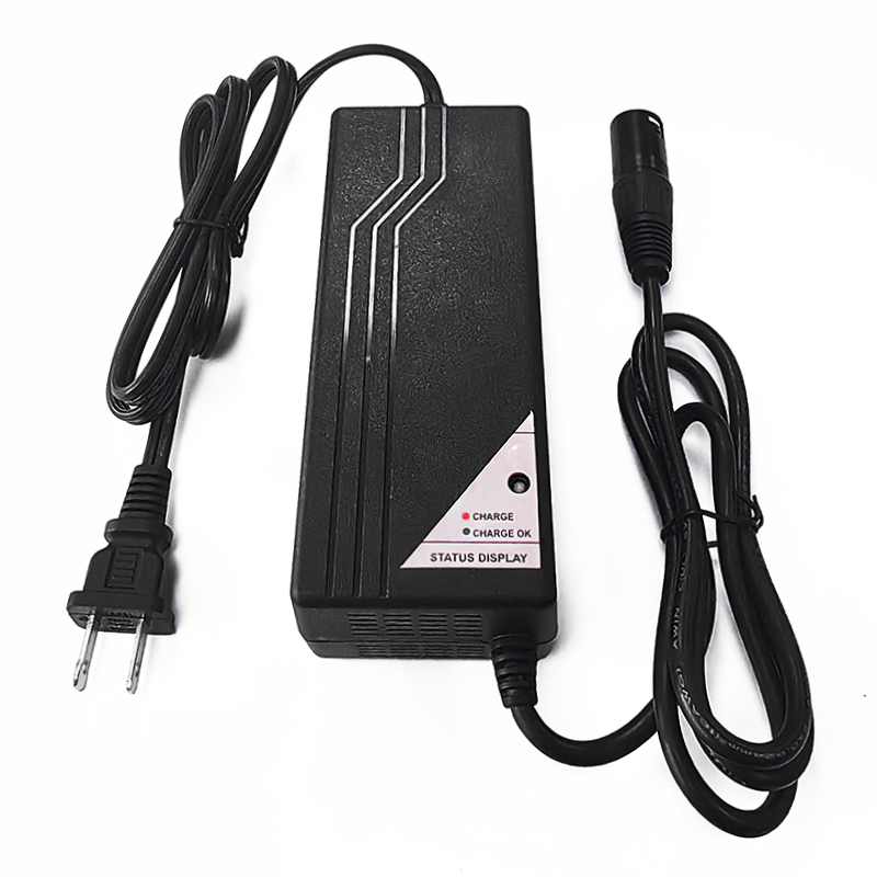 Cargador de 150W de 12V 10 A Cargador de batería para AGM VRLA PELÍCULAS DE CARRIDAD ACCIDAD TRICYCLES ELÉCTRICES SHIELLA ELÉCTRICA Scooter de batería