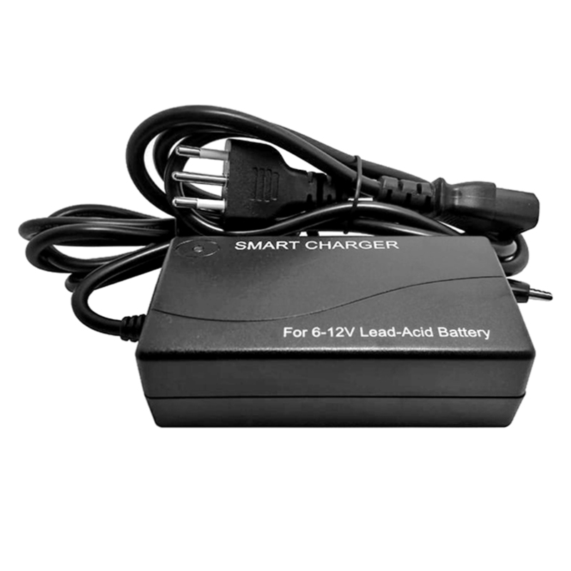 Cargador de batería de 60W 12V-24V 2A Cargador para AGM VRLA Gel Batterías ácidas Luces de calles solares LED LED PACH