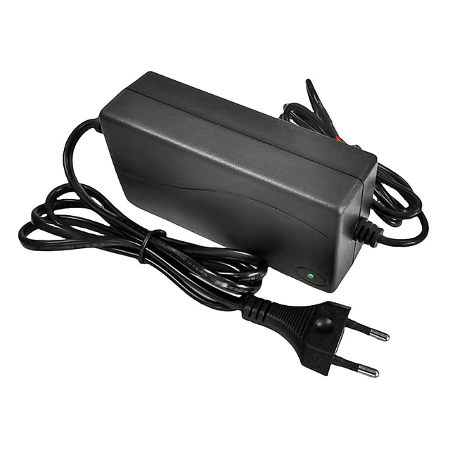 60W 10.8V 10.95V 4A 5A Cargador rápido para 3S 9V 9.6V Lifepo4 Battery Pack Potencia portátil Cargador eléctrico Herramientas Scooter bicicleta
