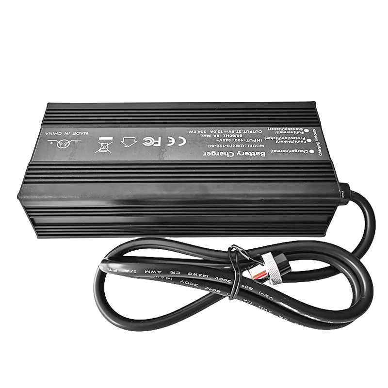 600W LiFePO4 Cargador 18V 18.25V 25A 30A PATERÍAS DE BATERÍAS PARA 5S 15V 16V para la batería eléctrica Motorcos eléctricos Batería de triciclos