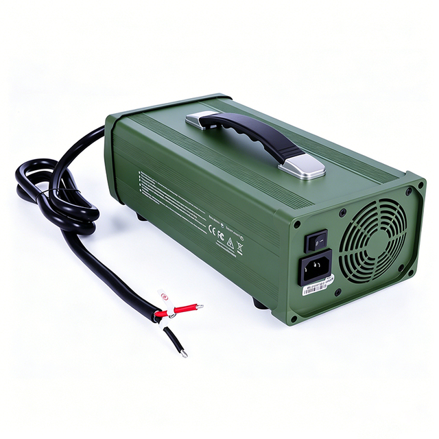Cargador personalizado AC 220V 2200W 12V 65a 70a cargador de plomo ácido para robots sistema de energía Solar paquete de batería de almacenamiento de energía