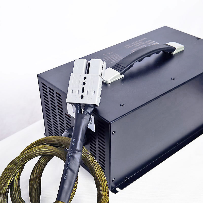 AC 220V 3600W 60V 35A 40A 45A 50A Batería Cargadores para triciclos eléctricos motocicletas eléctricas Pack