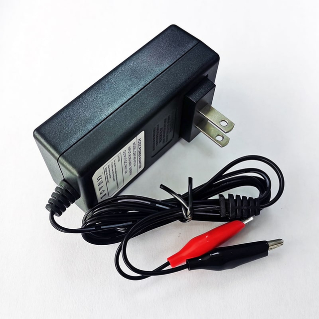 24W 7.2V 7.3V 3A Cargador de pared para 2S 6V 6.4V Lifepo4 Batería Banks AU EU UK US EE. UU. Adaptador de cargador rápido