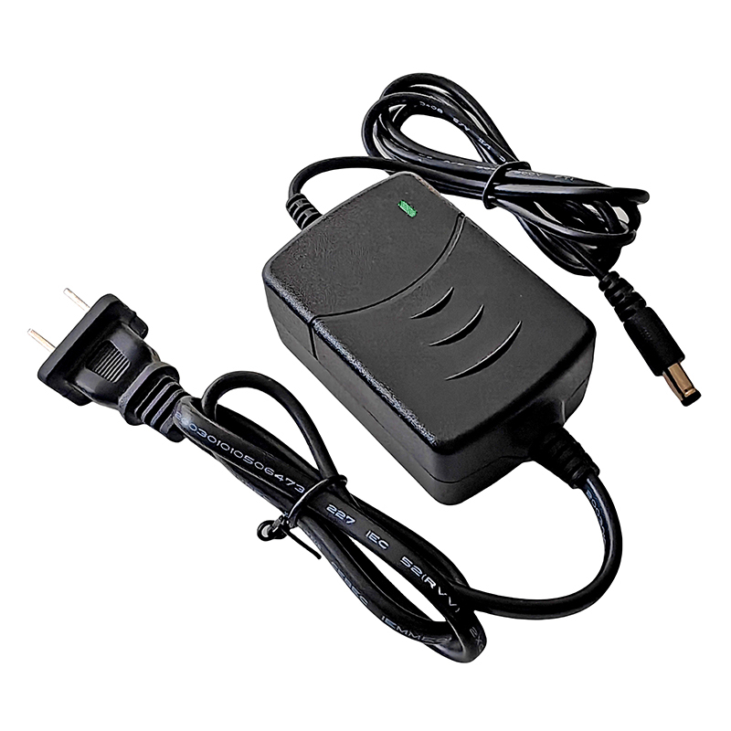 20W Fast Lifepo4 Batería Cargador 21.6V 21.9V 0.5A Cargador de escritorio portátil por 6s 18V 19.2V PAGA DE BATERÍA DE BANCOS