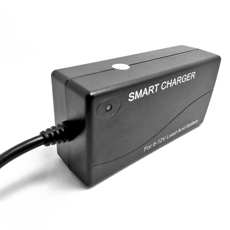 Cargador de batería de 60W 12V-24V 2A Cargador para AGM VRLA Gel Batterías ácidas Luces de calles solares LED LED PACH