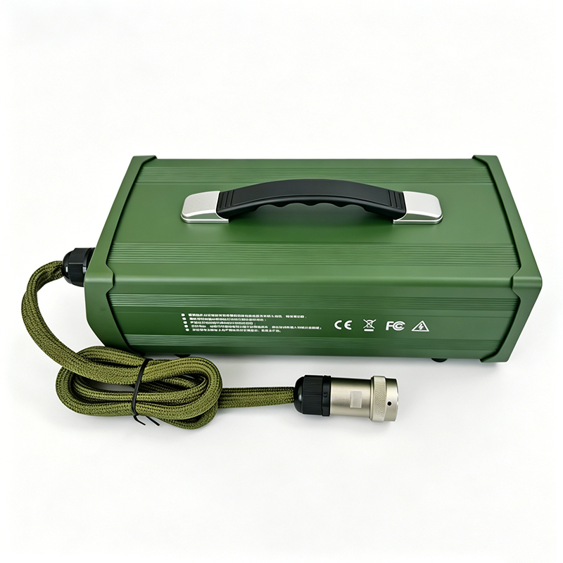 Cargador personalizado AC 220V 2200W 60V 25a 30a cargador para Robots sistema de energía Solar batería de almacenamiento de energía paquete de baterías de plomo ácido