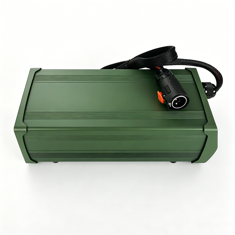 Cargador rápido de batería de 1200W, 24V, 35a, 40a, para baterías de GEL AGM VRLA, plomo ácido, triciclos eléctricos, paquete de batería de almacenamiento de energía