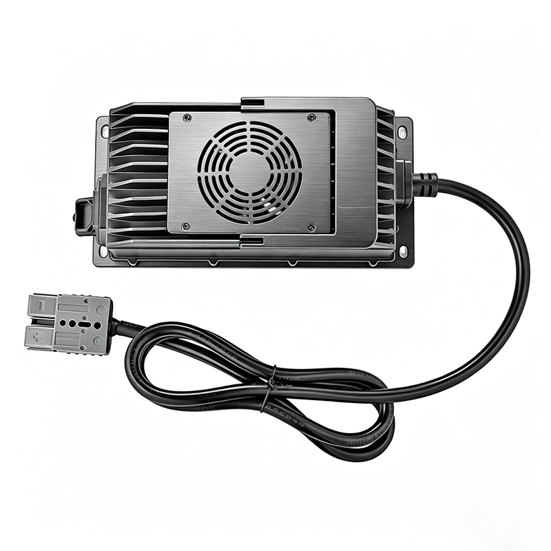 AC 220V 1800W 36V 30A 40A IP67 Cargador de batería a prueba de agua para ahorro de energía Baterías de plomo ácido Barco eléctrico Carro de golf Fuente de alimentación al aire libre